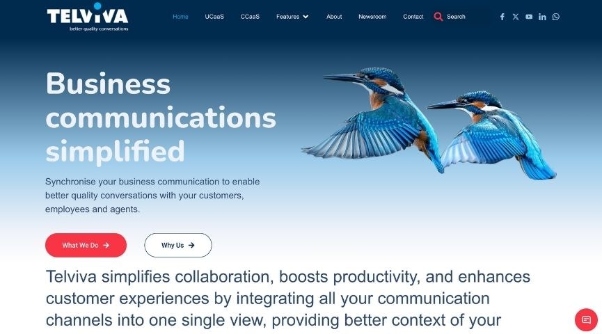 Telviva homepage