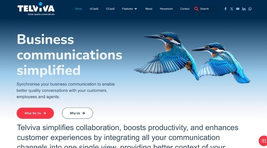 Telviva home page