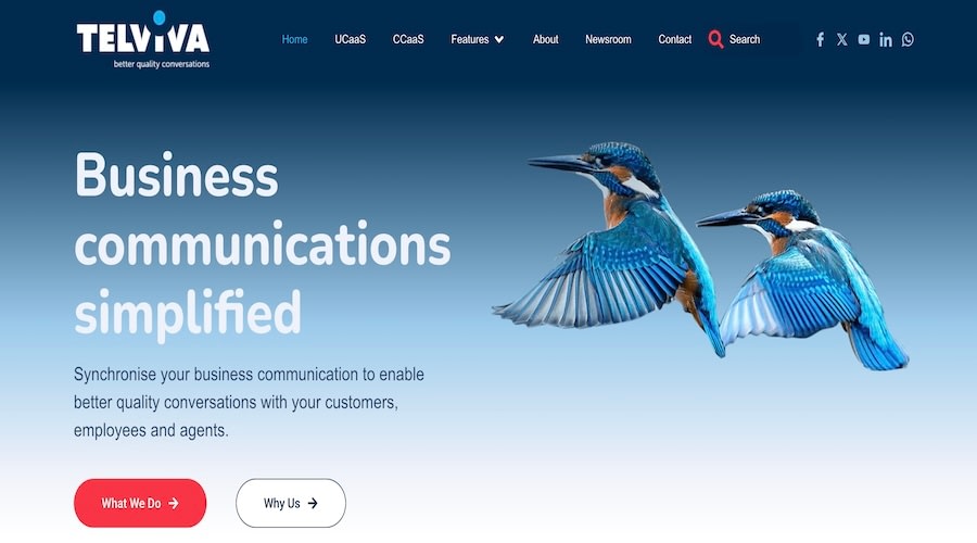 Telviva homepage